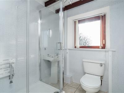 Picture 7
